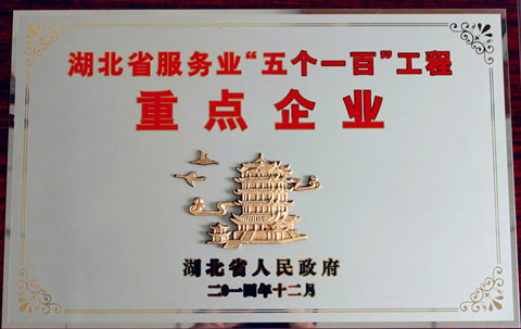 宜昌長機科技榮獲“省服務(wù)行業(yè)‘五個一百’工程重點企業(yè)”稱號