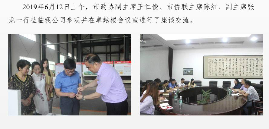 市政協(xié)副主席、僑聯(lián)主席一行蒞臨我公司調(diào)研