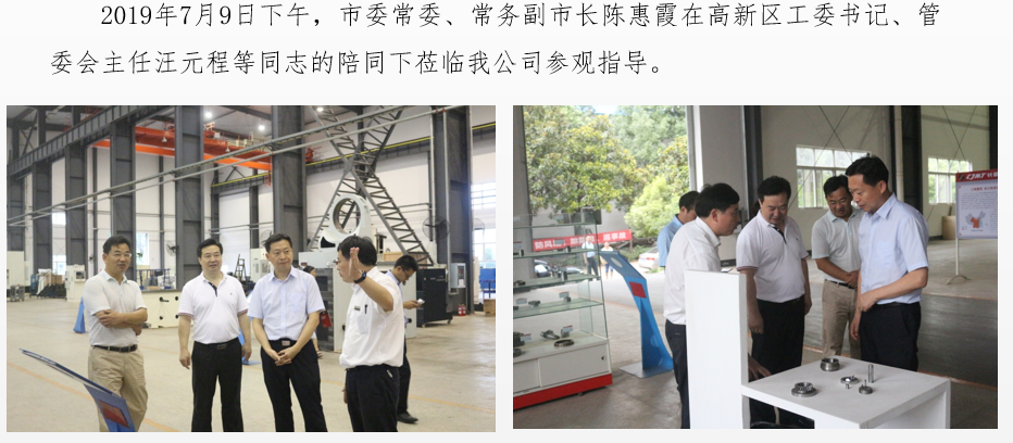 市委常委、常務(wù)副市長(zhǎng)陳惠霞蒞臨我公司參觀指導(dǎo)